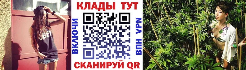 Виды наркотиков купить Новое Девяткино Alpha-PVP  Галлюциногенные грибы  Меф  ГАШ  МАРИХУАНА 
