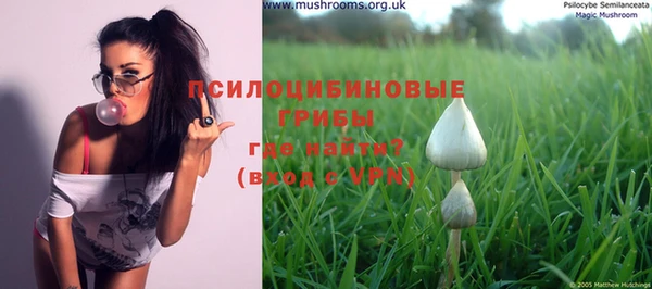 прущая мука Абаза