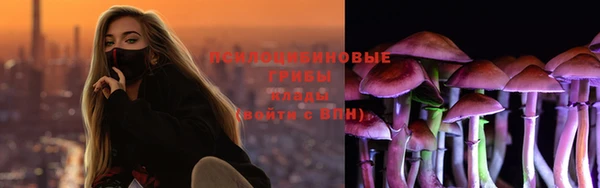 прущая мука Абаза