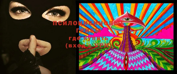 прущая мука Абаза