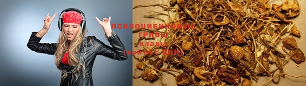прущая мука Абаза